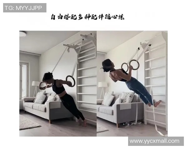 腰部训练健身器材推荐与操作注意事项