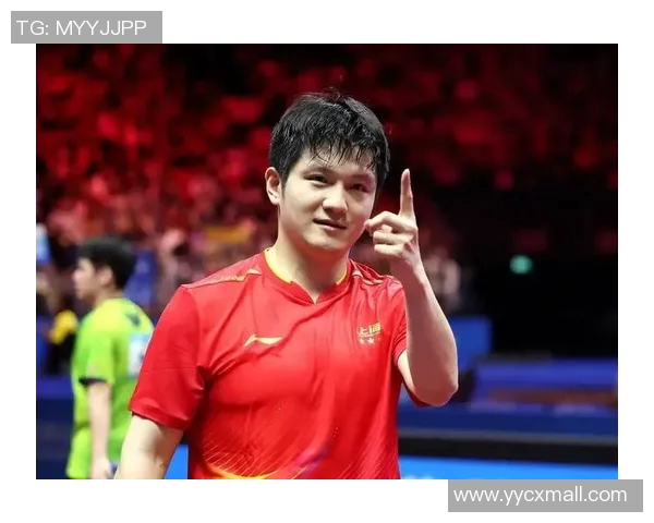 乒乓球运动员奋斗历程与竞技精神的完美诠释与传承