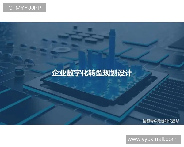财税管理创新与数字化转型对企业可持续发展的影响与应对策略